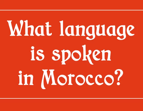 Language in Morocco 2023/2024