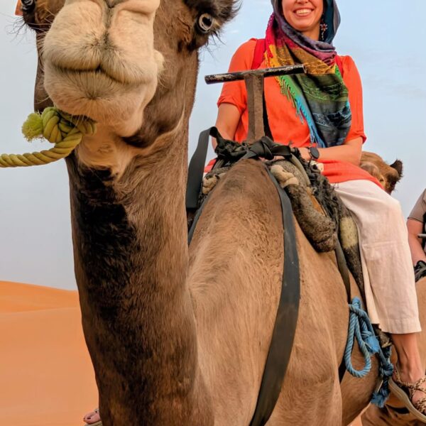13 Day Morocco Sahara Tour: Imperial Cities & Atlantic Coast