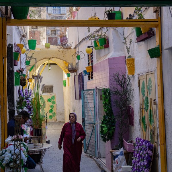 Local lady in traditional dress, walking in the street in the medina in Tangier. The street has been decorated with flower pots and colourful flowers to brighten up the neighbourhood Classic Morocco